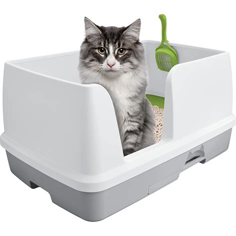 xl cat litter box